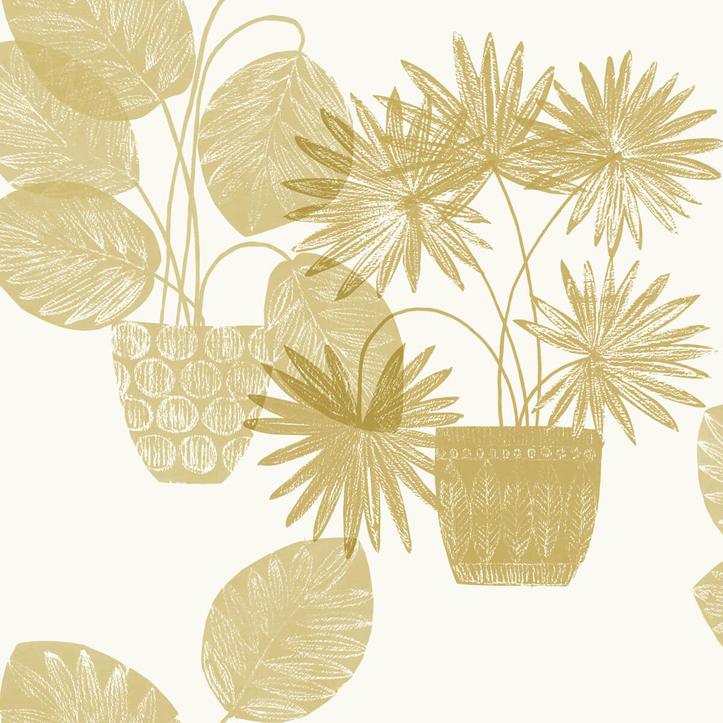 Aida, Beige