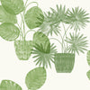 Aida, Beige