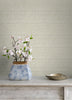 Balantine, Bone