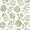 Jonah, Light Green