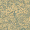 Olle, Light Yellow