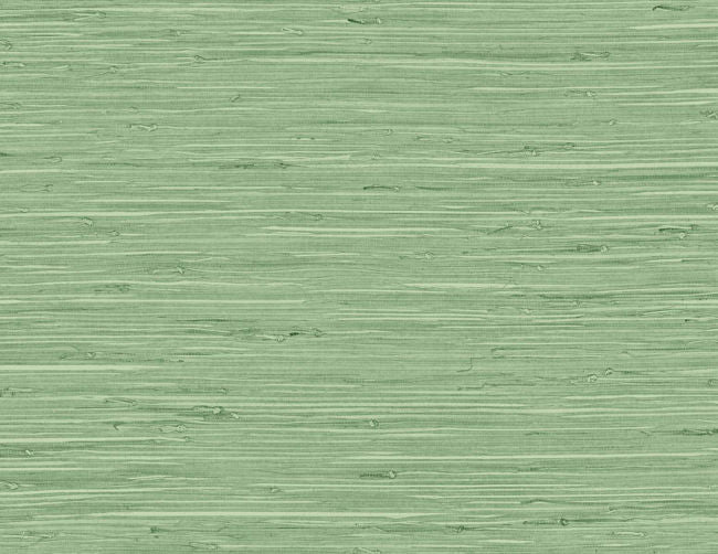 Fine Arrowroot - Spring Forest Wallcovering | Malibu Wallpaper