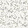 Magdalena, Light Grey