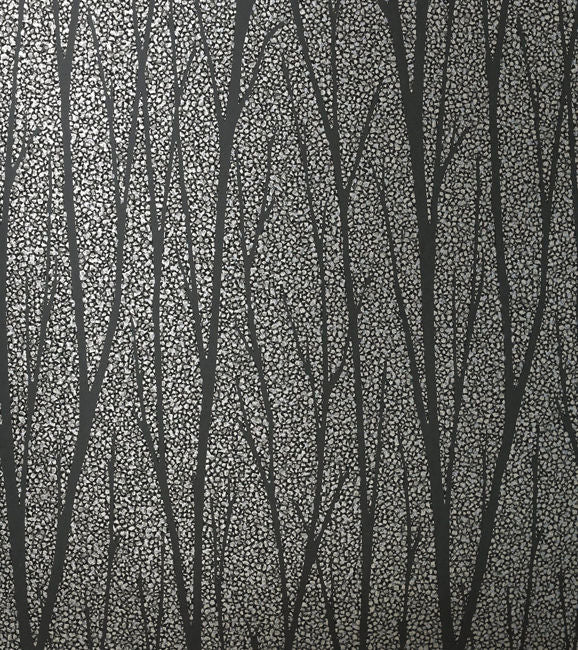 Essential Birch - Gunmetal & Charcoal Wallcovering | Malibu Wallpaper