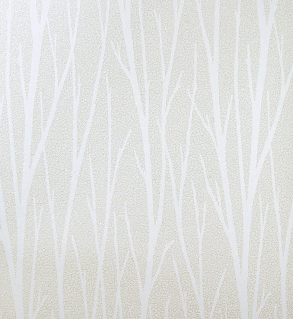 Essential Birch - Metallic Champagne & Cream Wallcovering | Malibu Wallpaper