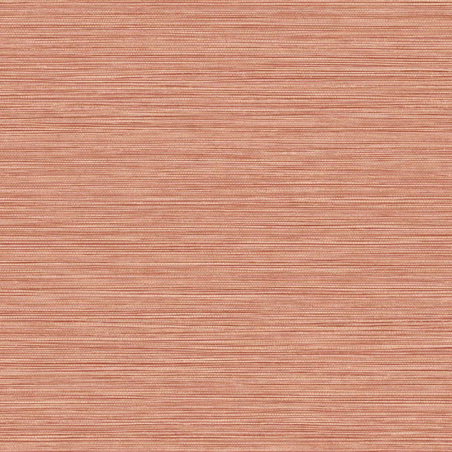 Grasslands - Terracotta Wallcovering | Malibu Wallpaper