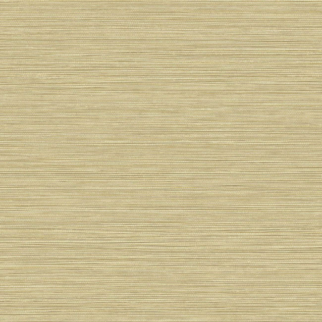 Grasslands - Savanna Wallcovering | Malibu Wallpaper