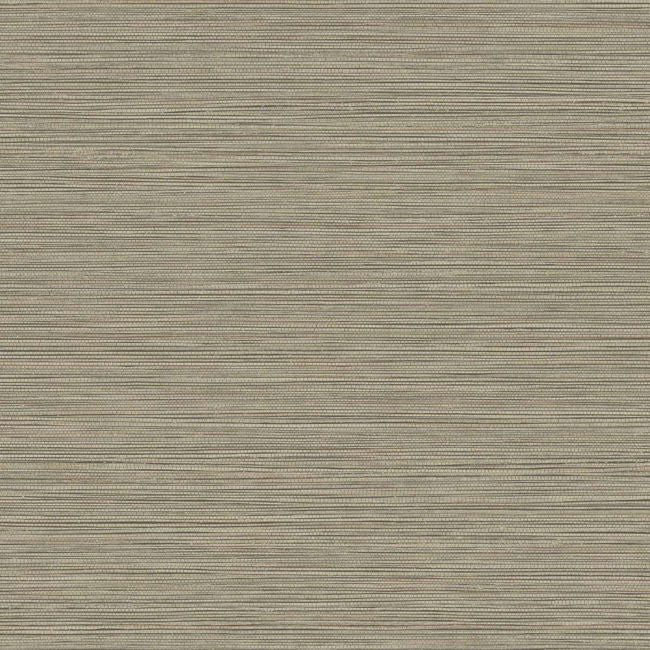 Grasslands - Reeds Wallcovering | Malibu Wallpaper
