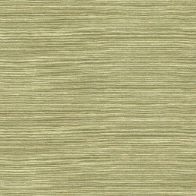 Coastal Hemp - Lime Moss Wallcovering | Malibu Wallpaper
