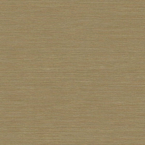 Malibu Cypress - Driftwood Dune | Malibu Wallcovering