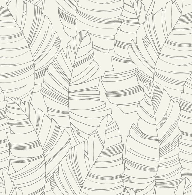 Jungle Leaves - Charcoal Wallcovering | Malibu Wallpaper