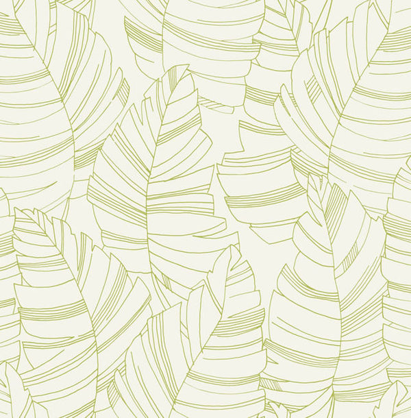 Carmel Laurel - Bay Glen | Malibu Wallcovering