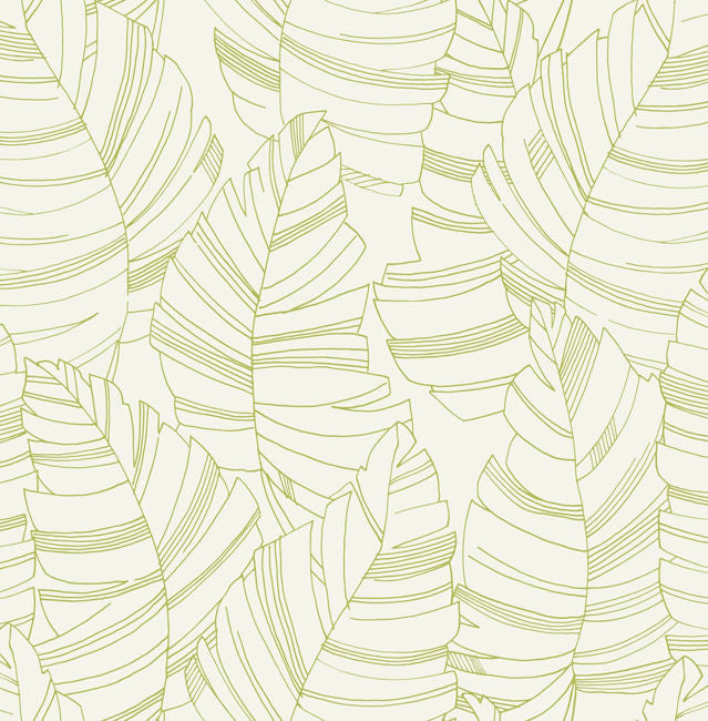 Jungle Leaves - Green Apple Wallcovering | Malibu Wallpaper
