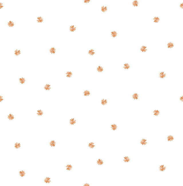 Little Daisy - Orange Wallcovering | Malibu Wallpaper