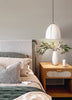 Agave, Light Gray