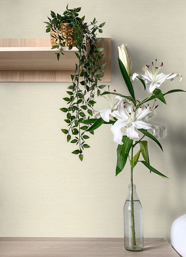 Agave, Cream