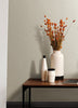 Agave, Light Grey