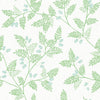 Ardell, Light Green