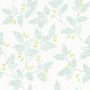 Ardell, Seafoam