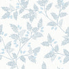 Ardell, Light Blue