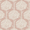 Zaria, Apricot
