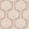 Scout, Light Blue