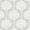 Zaria, Grey