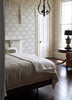 Zaria, Grey