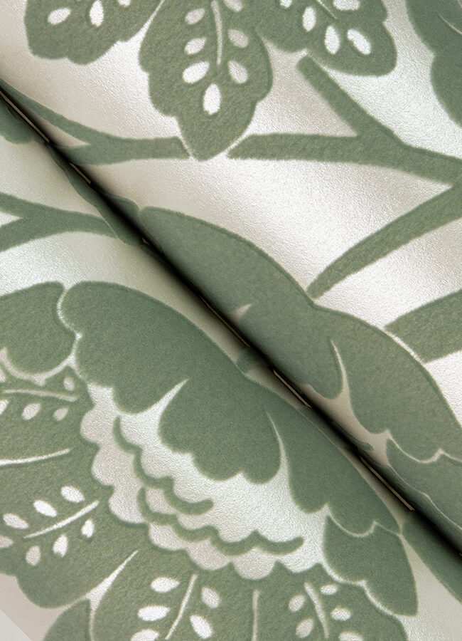Augusta, Seafoam