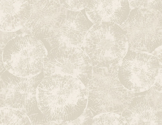 Eren - Minimalist Gray Wallcovering | Malibu Wallpaper