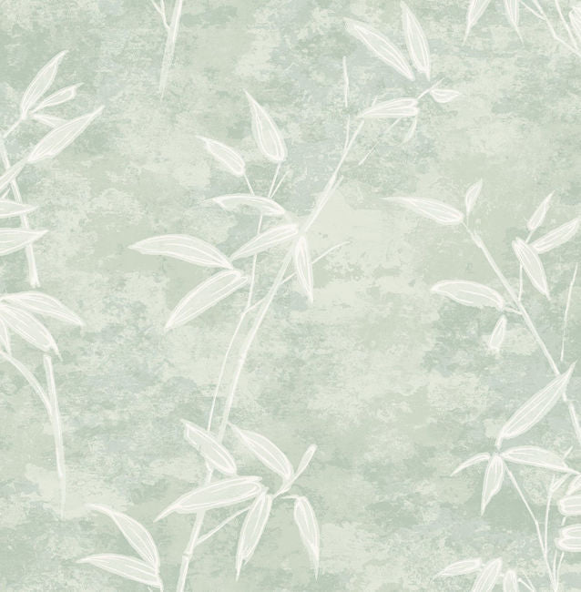 Honshu Bamboo - Matcha Wallcovering | Malibu Wallpaper