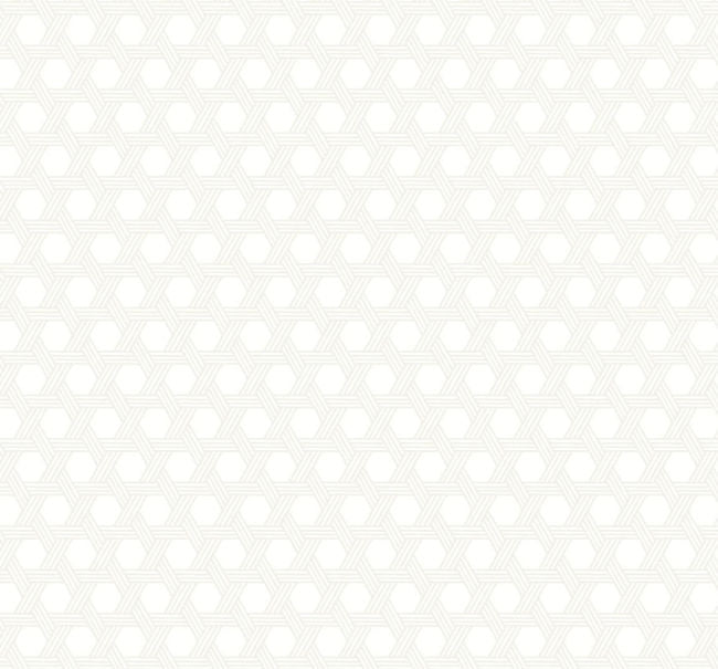 Cabana Wicker - Gray and Eggshell Wallcovering | Malibu Wallpaper