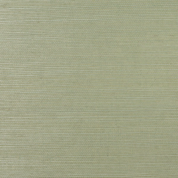 Talia Sisal Sea Oat | Phillipe Romano