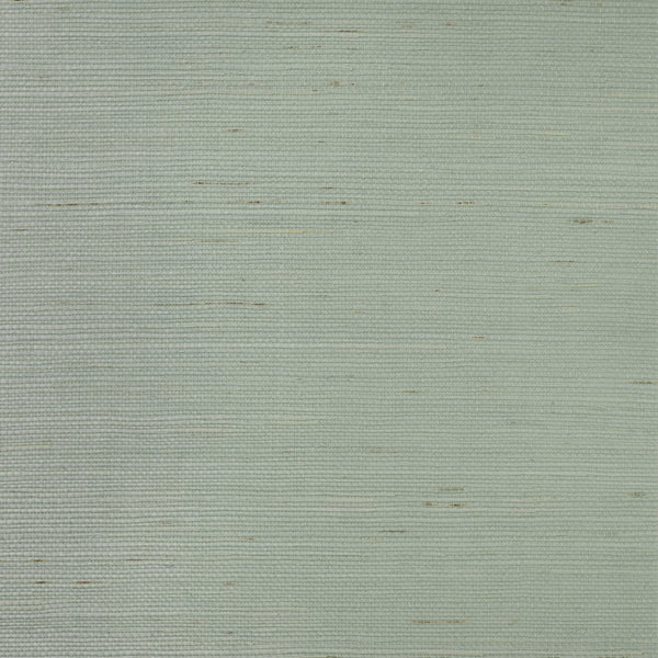 Talia Sisal Powder Blue | Phillipe Romano