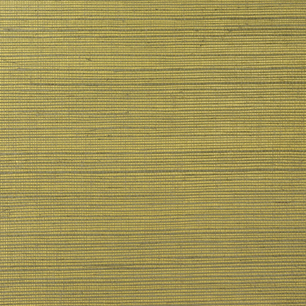 Talia Sisal Metallic Gold and Aloe | Phillipe Romano