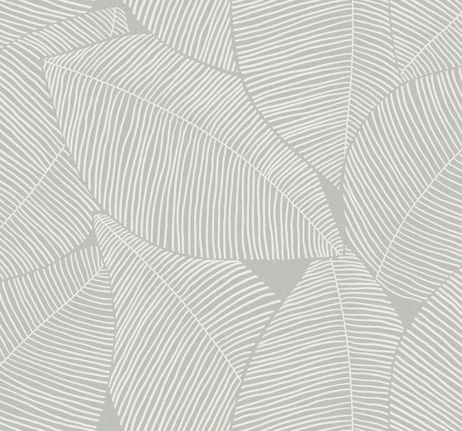 Summer Magnolia - Daydream Gray Wallcovering | Malibu Wallpaper