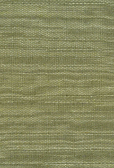 Sisal - Green Wallcovering | Malibu Wallcovering