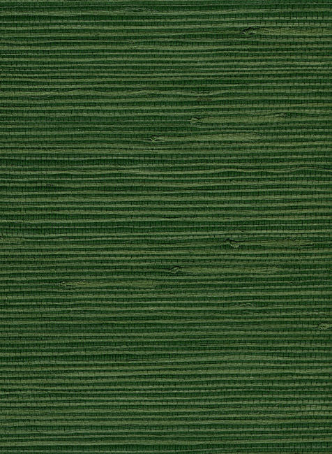 Jute - Green Wallcovering | Malibu Wallcovering