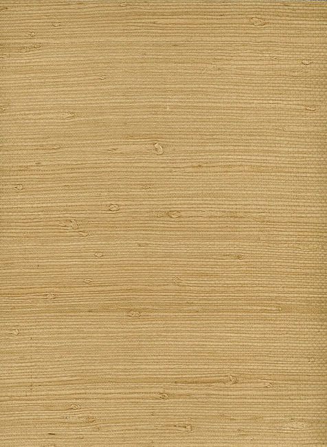 Topanga Reef - Driftwood Shore | Malibu Wallcovering