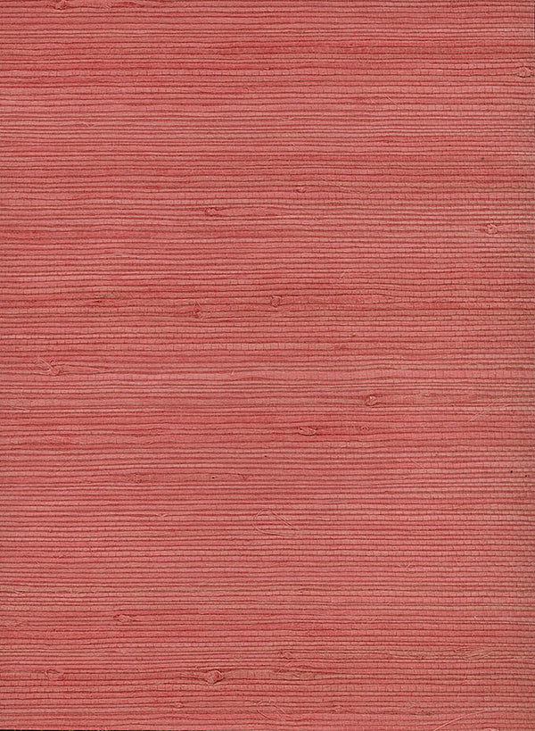 Topanga Reef - Anemone Cove | Malibu Wallcovering