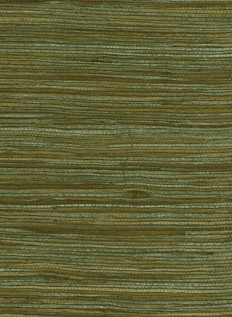 Water Hyacinth 223 - Sage Driftwood | Malibu Wallcovering