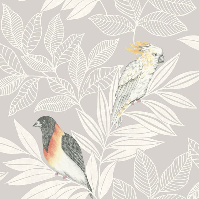 Paradise Island Birds - Daydream Gray and Ivory Wallcovering | Malibu Wallpaper