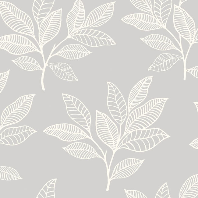 Paradise Leaves - Daydream Gray Wallcovering | Malibu Wallpaper