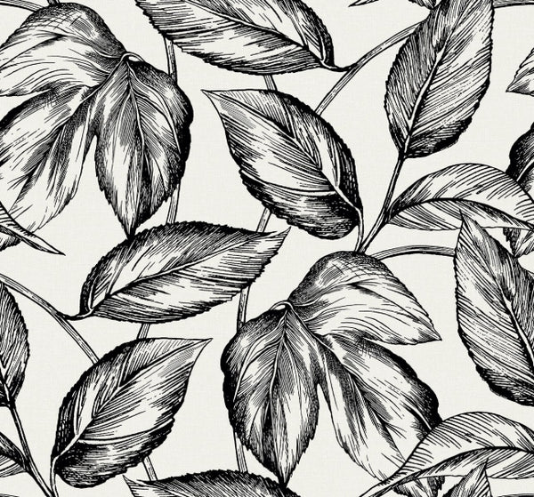 Carmel Glen - Manzanita Ridge | Malibu Wallcovering