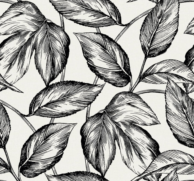 Beckett - Volcanic Black Wallcovering | Malibu Wallpaper