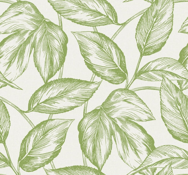 Carmel Glen - Laurel Bay | Malibu Wallcovering