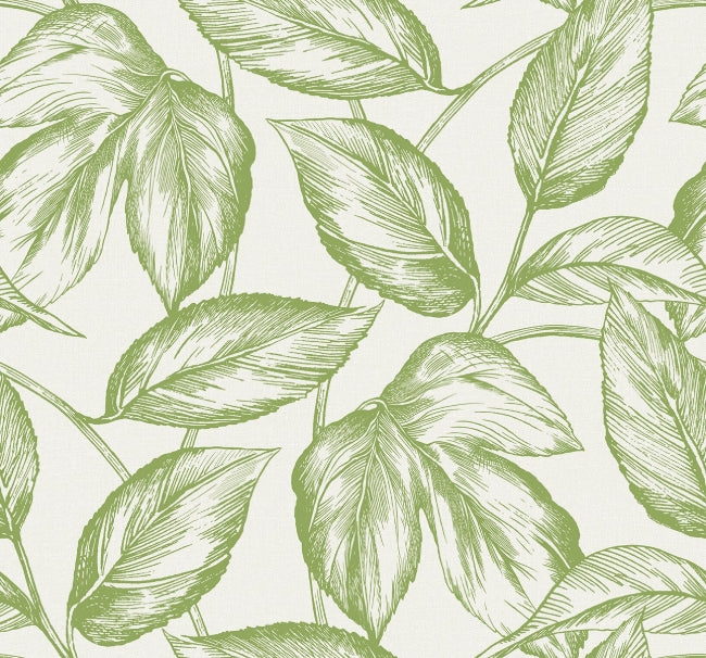Beckett - Apple Green Wallcovering | Malibu Wallpaper
