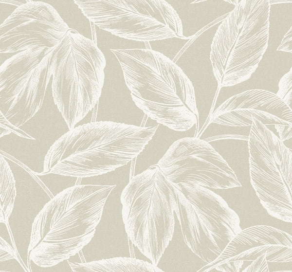 Carmel Glen - Dune Shore | Malibu Wallcovering