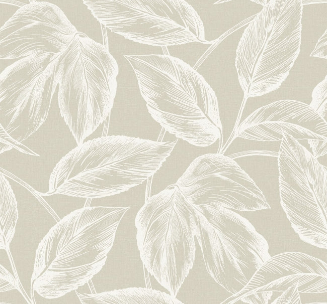 Beckett - Oat Wallcovering | Malibu Wallpaper