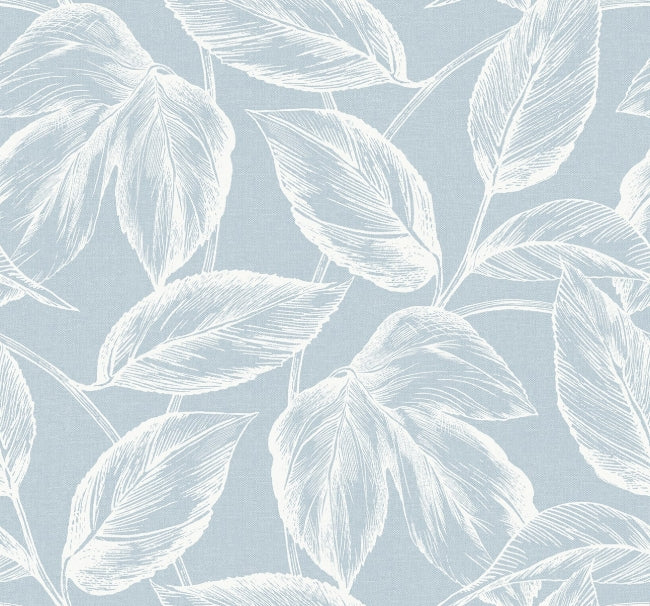 Beckett - Baby Blue Wallcovering | Malibu Wallpaper